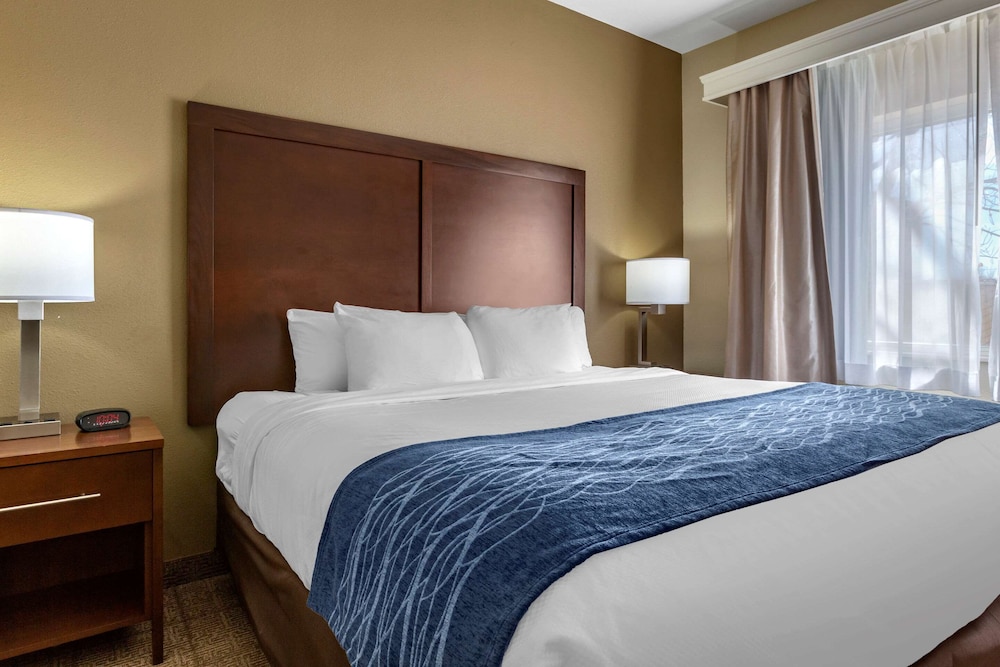 Comfort Inn & Suites Alameda At Albuquerque Balloon Fiesta Park photo2