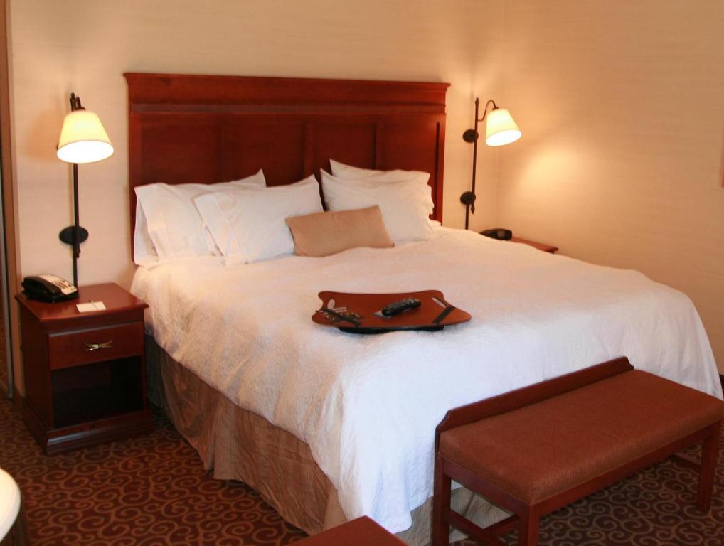 Room, Murphy Bed, Sofa, Accessible