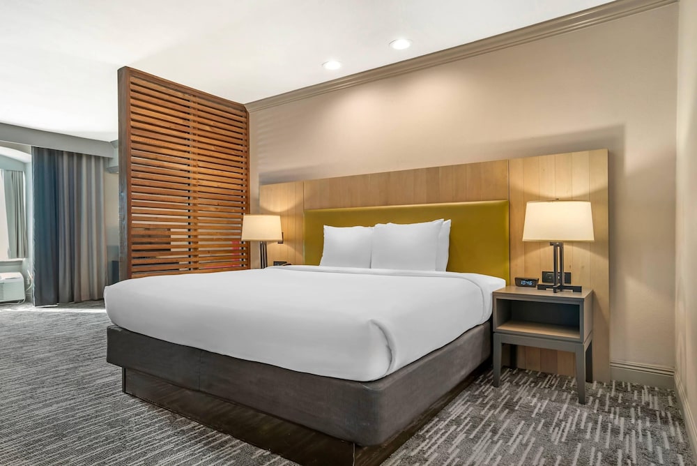 Suite, King Bed, Exterior Entrance