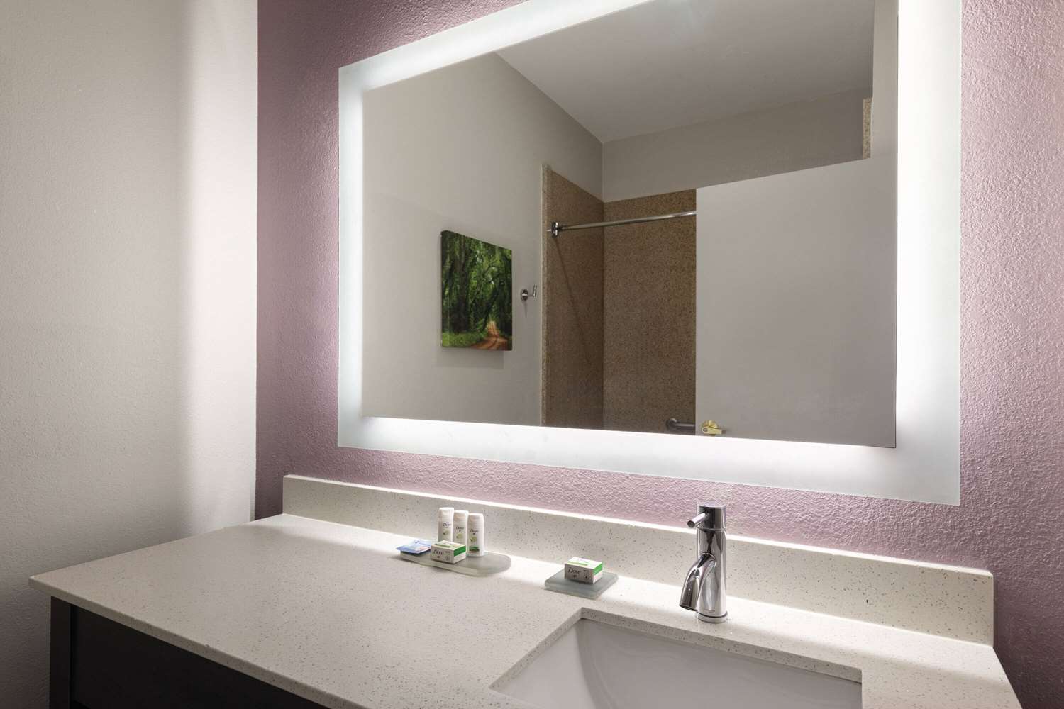 La Quinta Inn & Suites by Wyndham Snellville-Stone Mountain 19/19