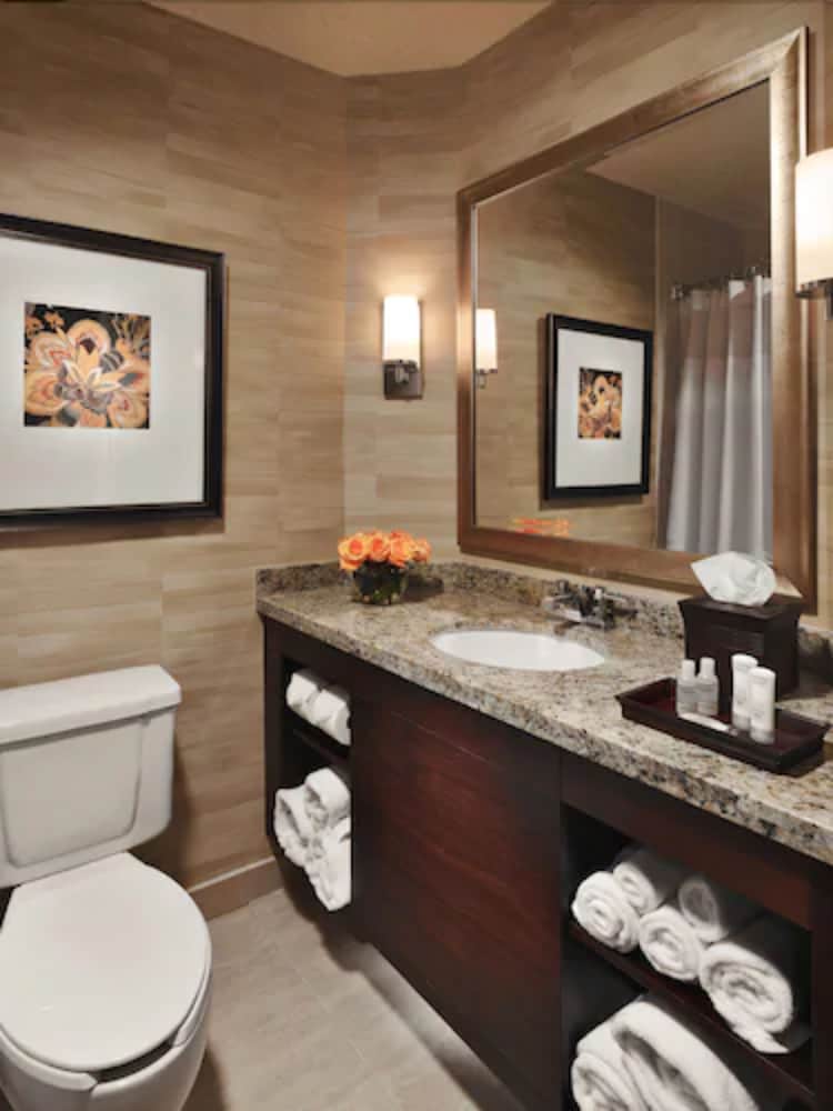 غرفة قياسية بسرير كينج، Wyndham Jacksonville Hotel and Conference Center 9/10