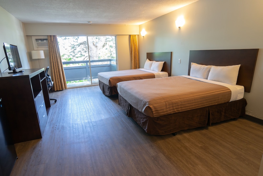 The New 401 Inn 13/50