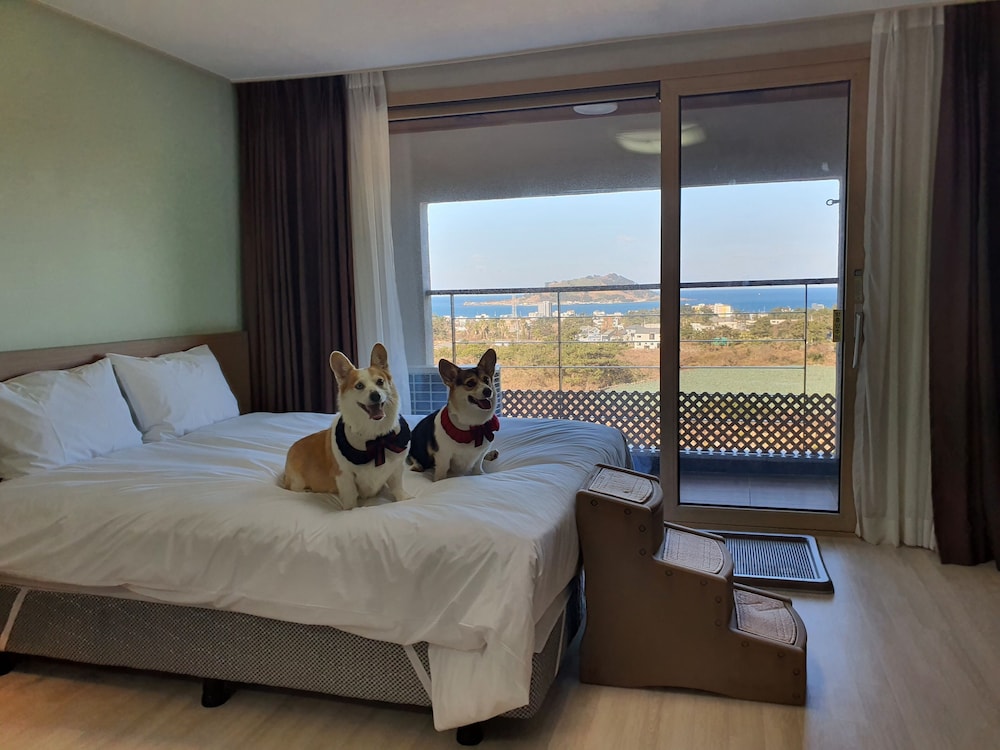 Hi Jeju Hotel 6/50