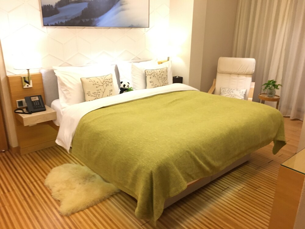 H-Hotel Riverside Chengdu 9/56