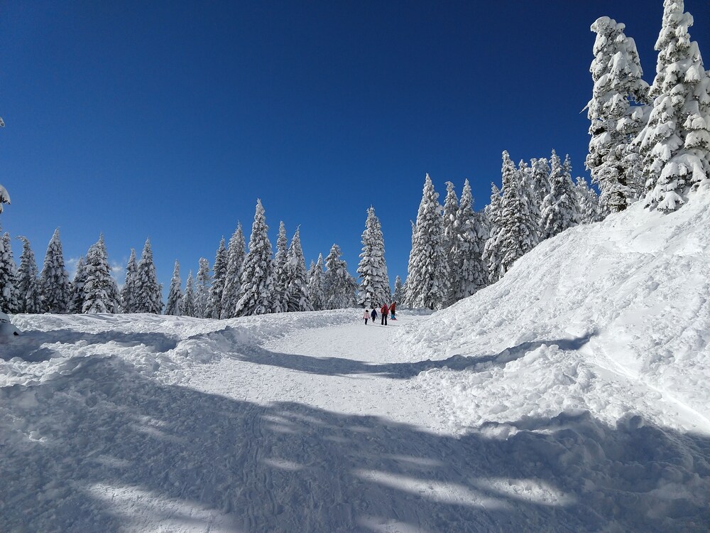 Callahan s Mountain Lodge 73/78