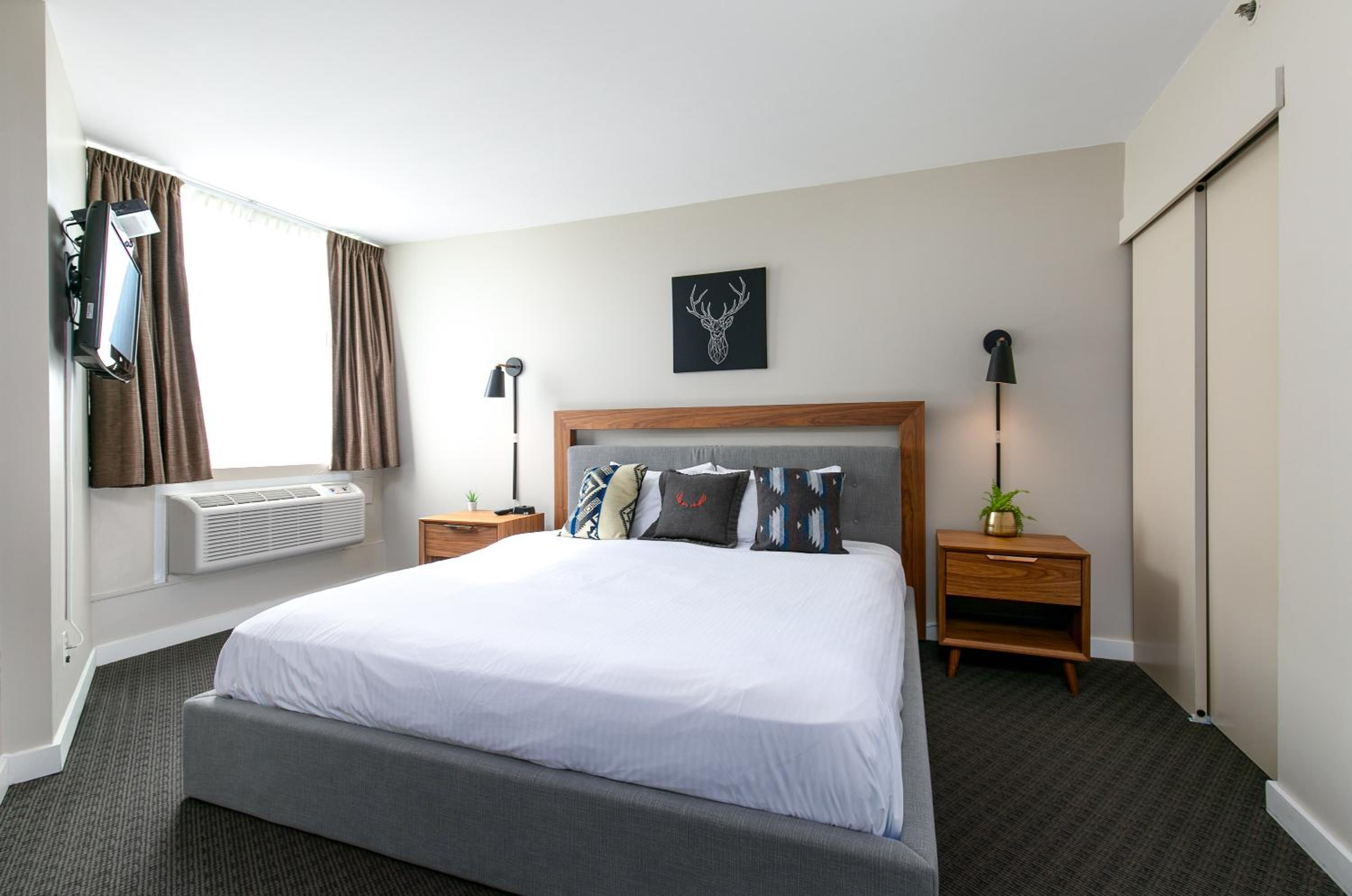 1 Bedroom, Suite
