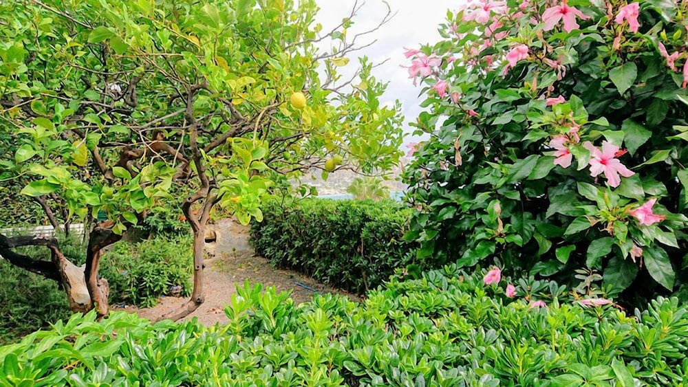 Casa Rosa Terme 24/31