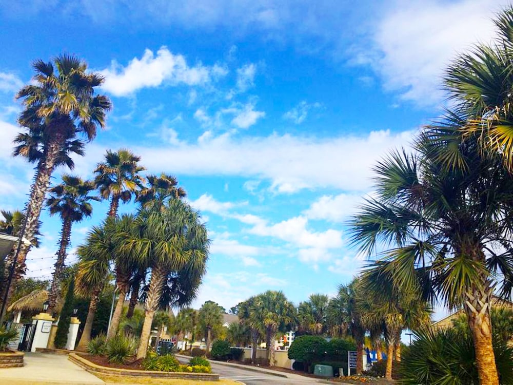 Grand Palms Resort 53/58