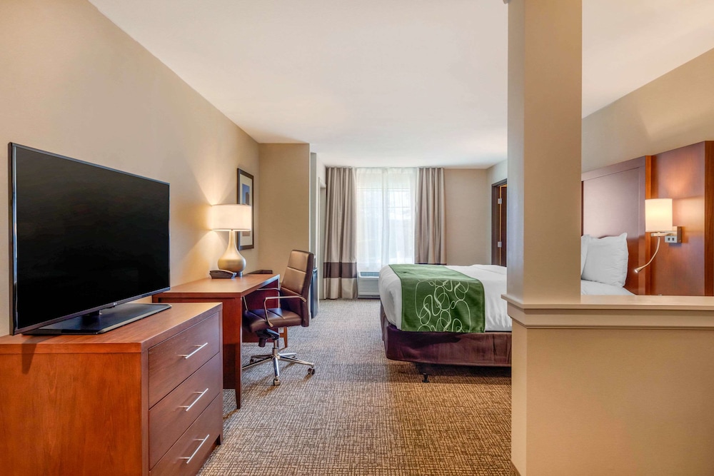 Comfort Inn Suites Schenectady - Scotia 36/44