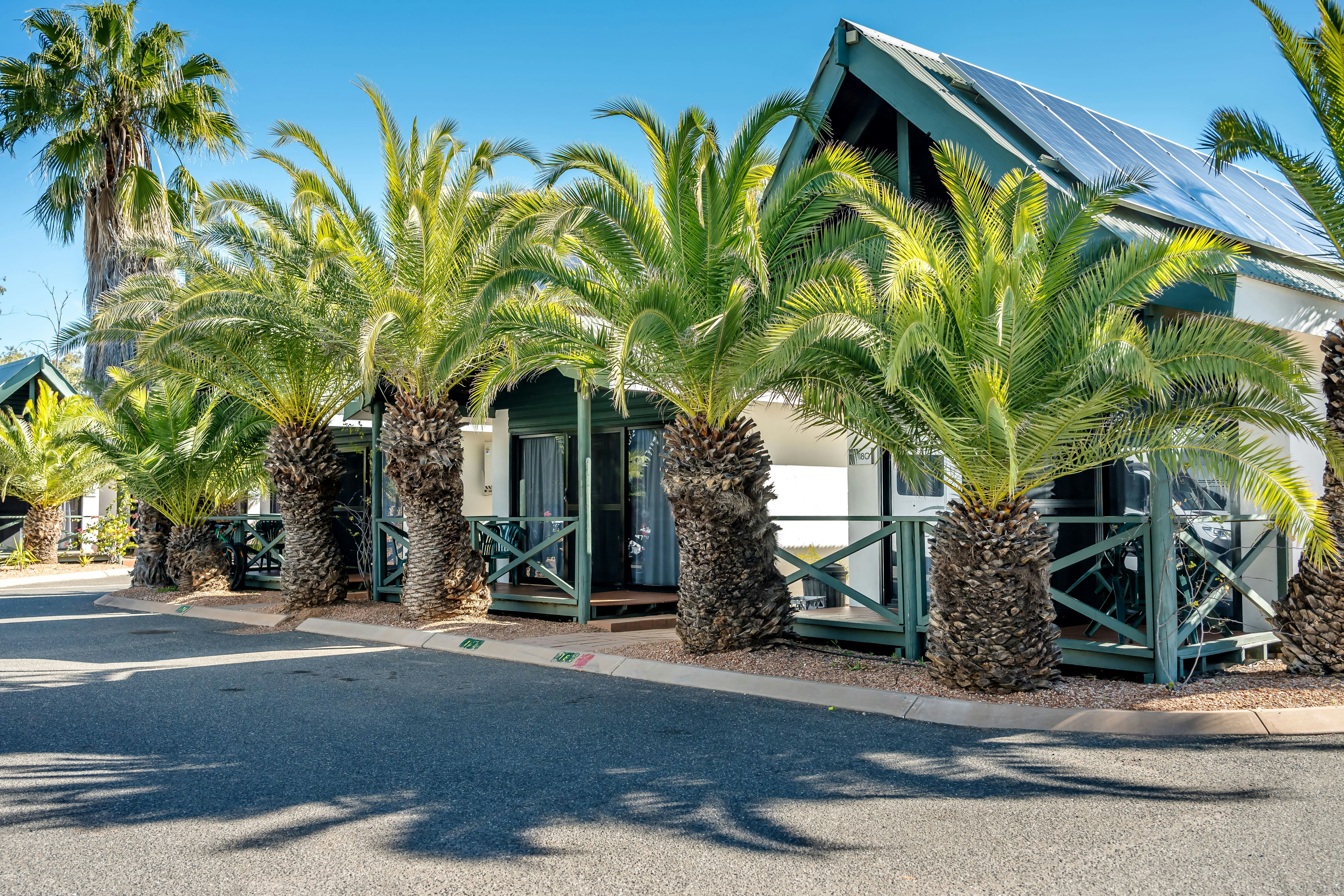 Desert Palms Alice Springs 19/28
