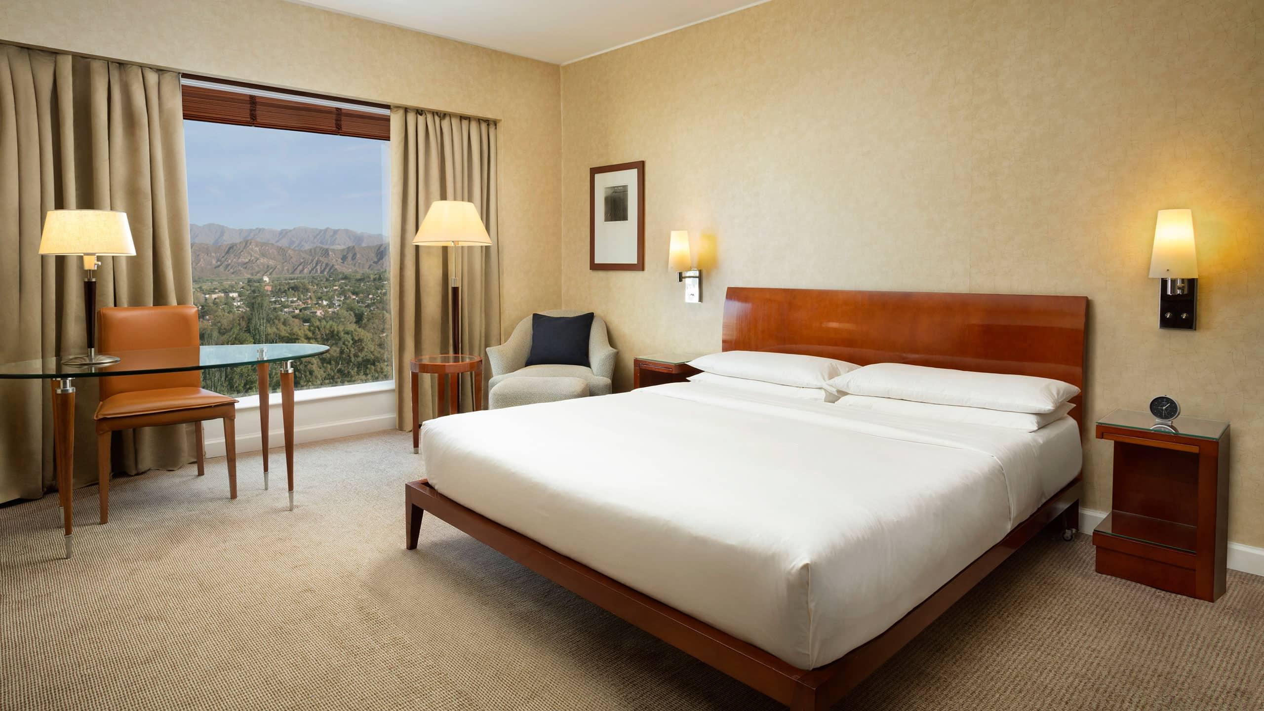 Room, King Bed