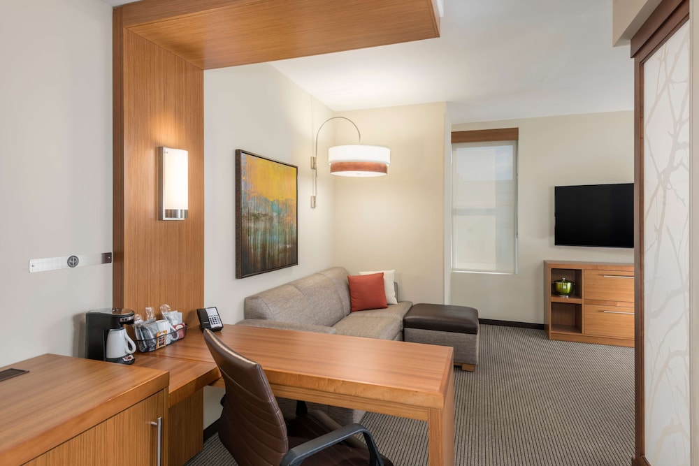 Hyatt Place Greenville/Downtown 35/64