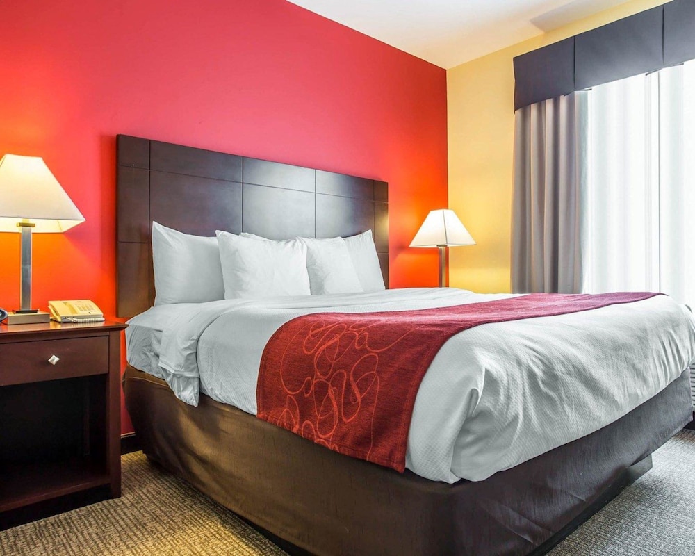 Comfort Suites Rock Hill Manchester Meadows Area 11/25