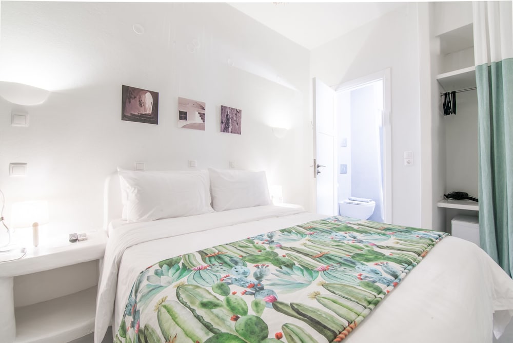 Agave Santorini Design Boutique Hotel 16/49