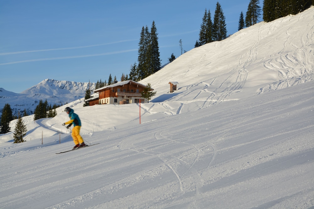 Alpine Premium Chalet Wallegg-Lodge 15/16