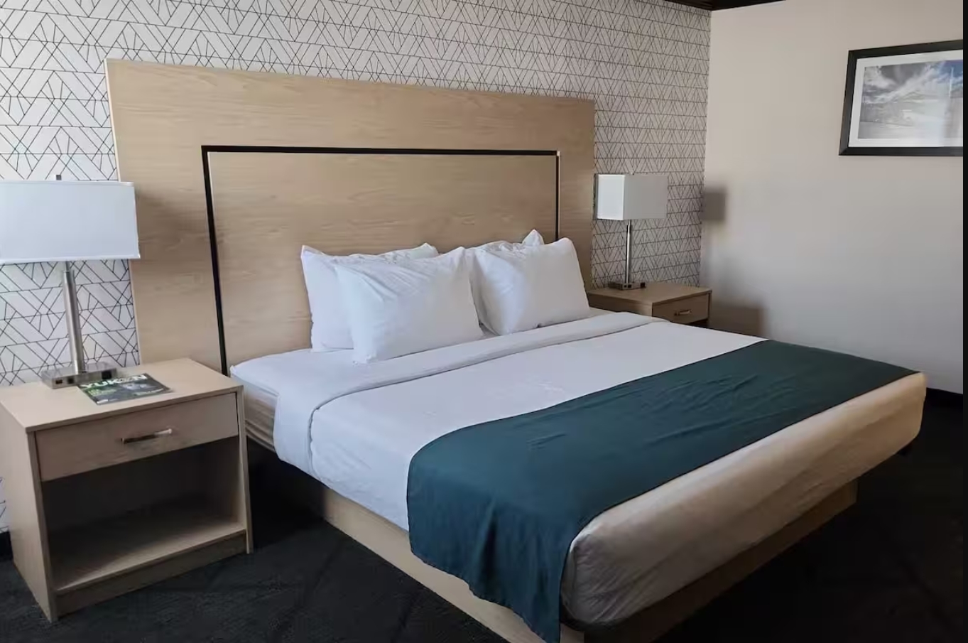 Room, Queen Murphy Bed
