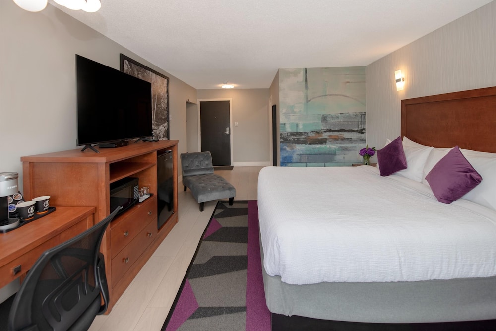 The New 401 Inn 15/50