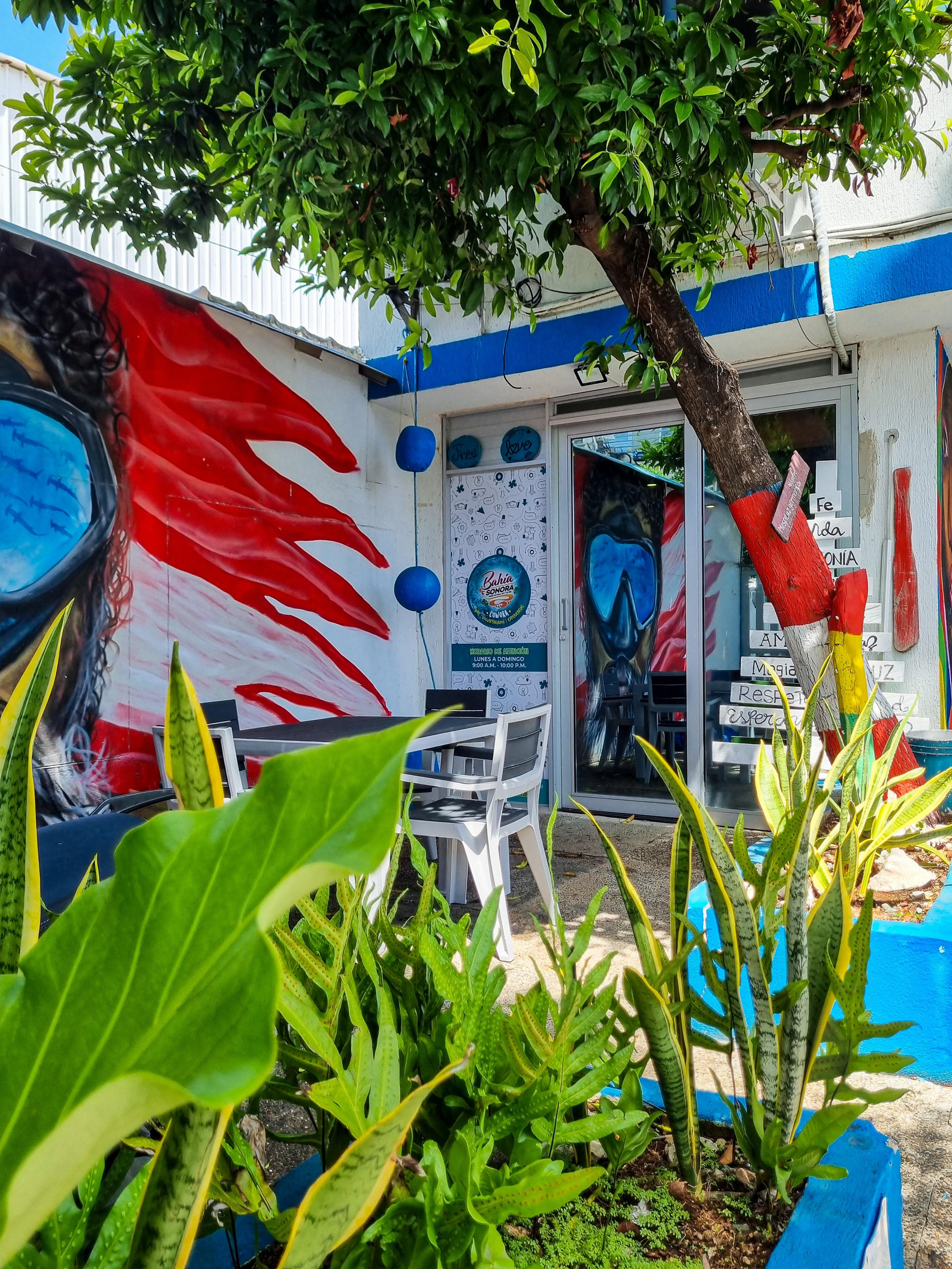 Posada Cultural Bahaa Sonora 48/50