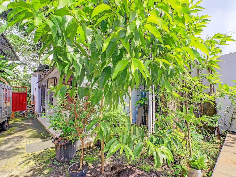 Super OYO 1356 Gusti Residence 42/46