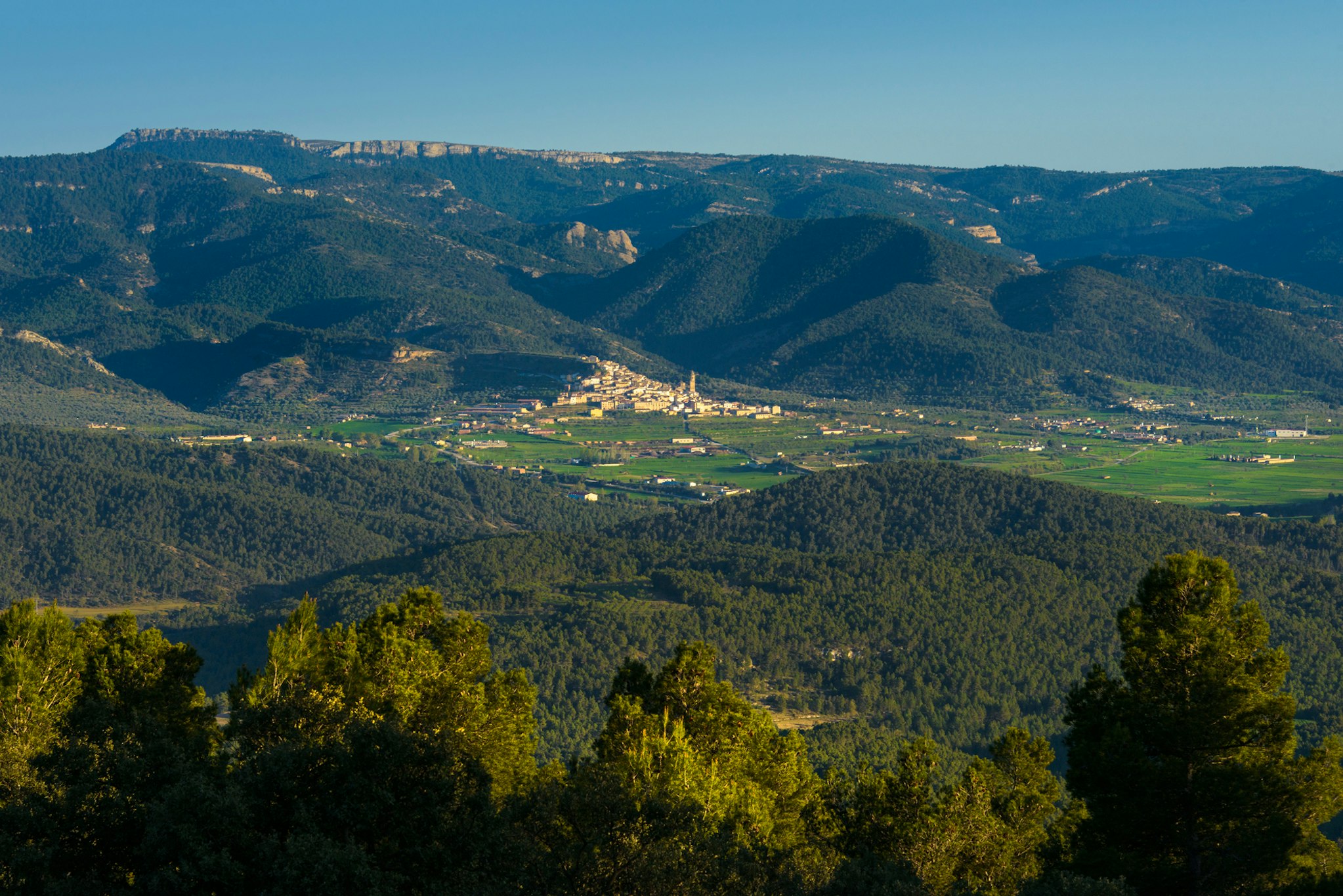 Torre del Marques 41/50