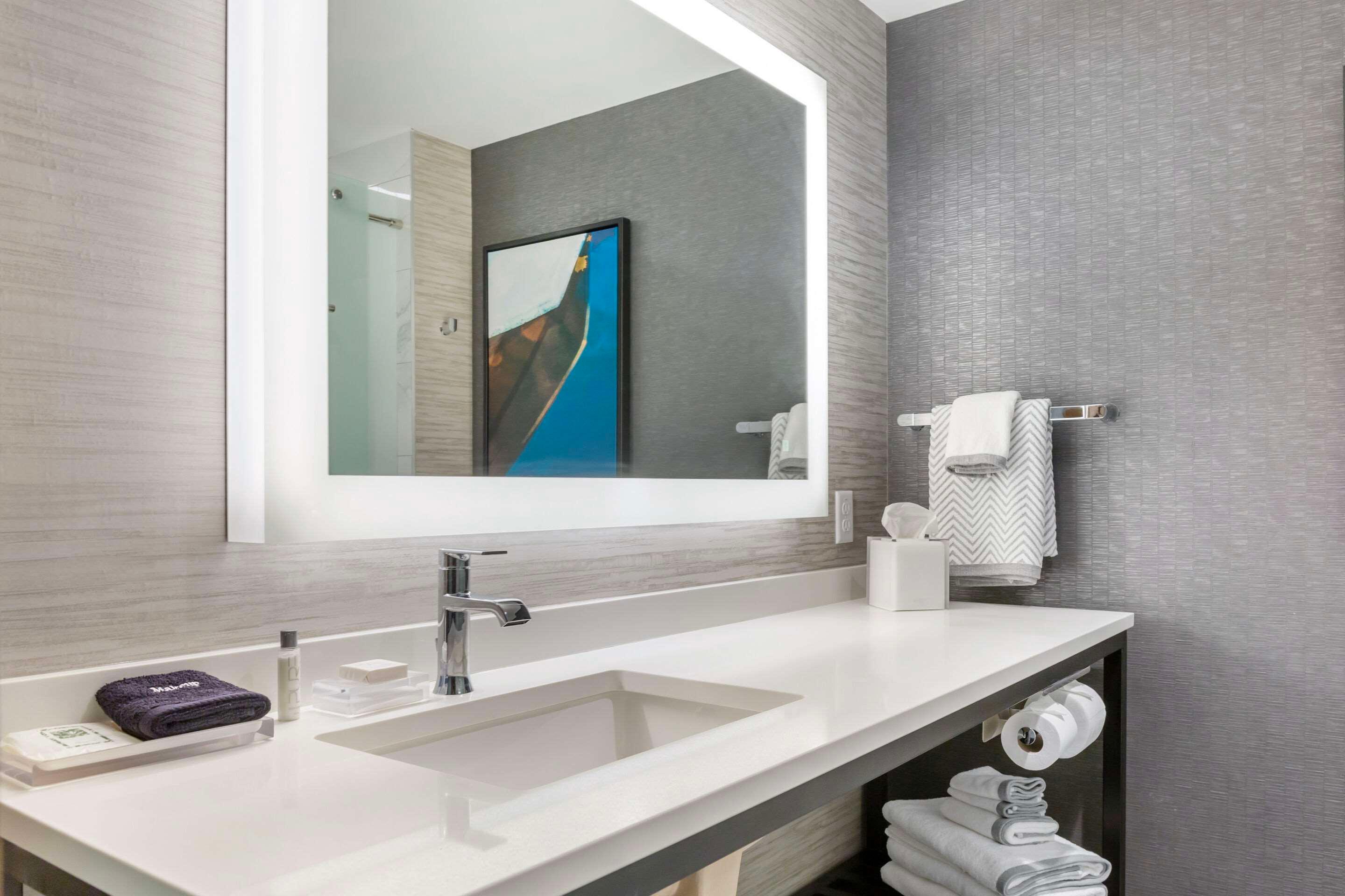 جناح بسرير كينج لذوي الإعاقة، Cambria Hotel Niagara Falls 4/4