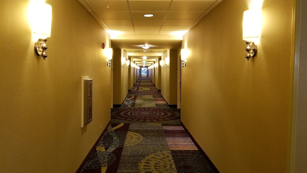 surroundings