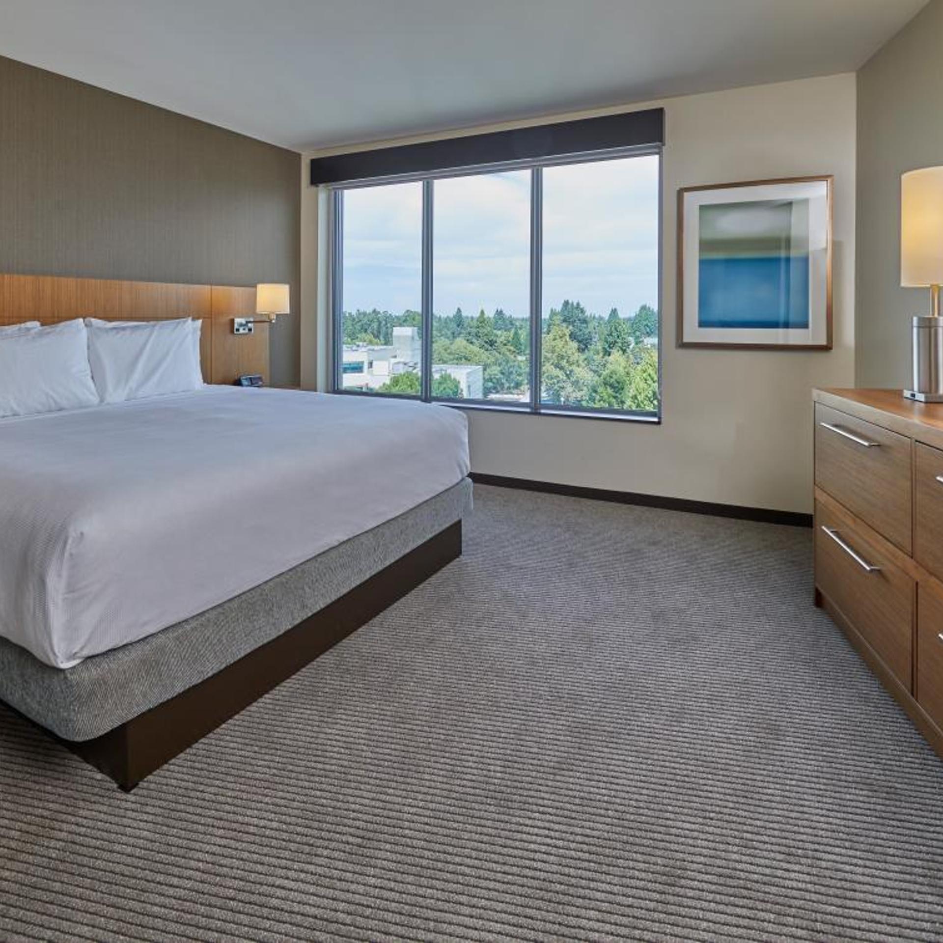 Room, King Bed, Accessible