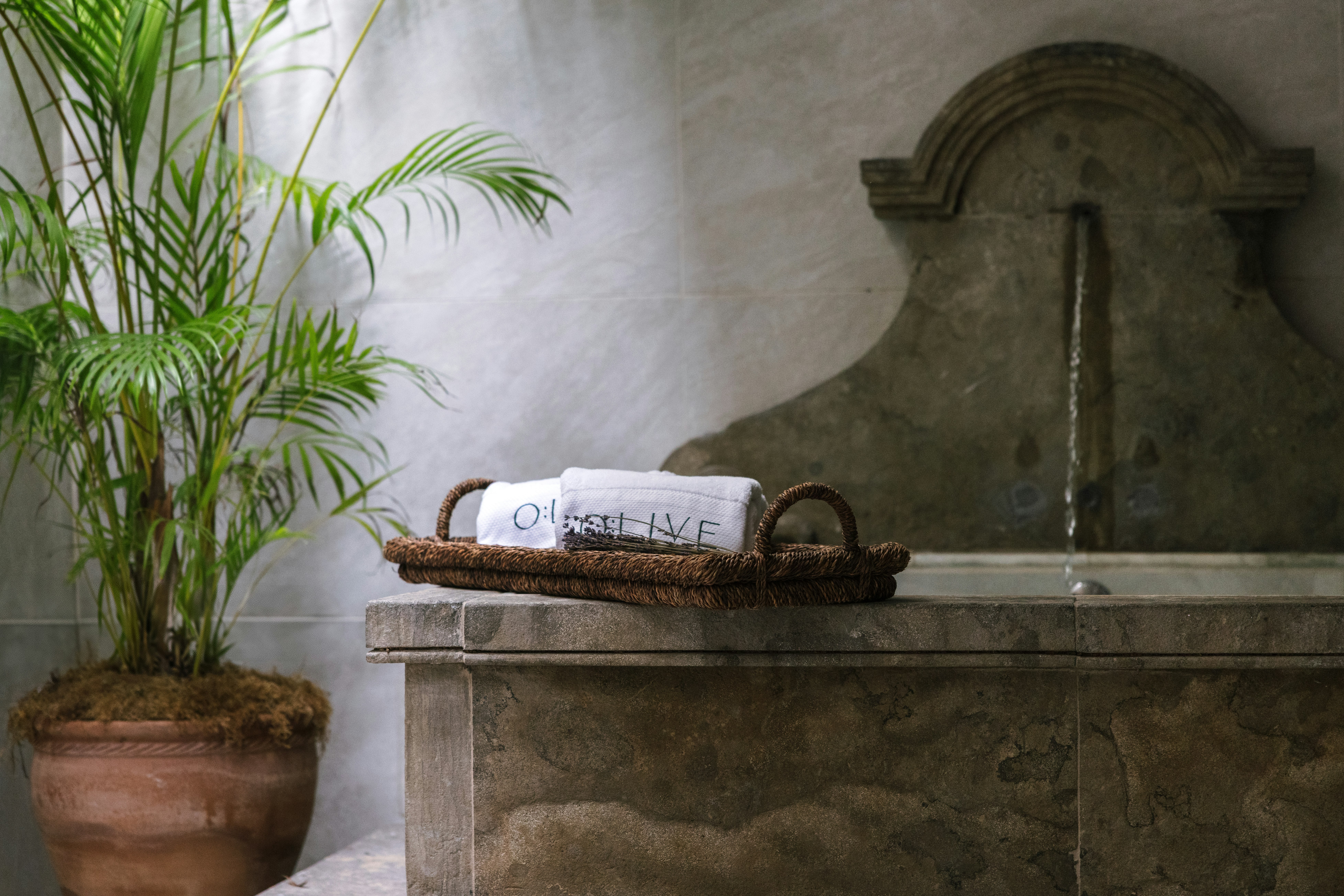 Olive Boutique Hotel 27/46