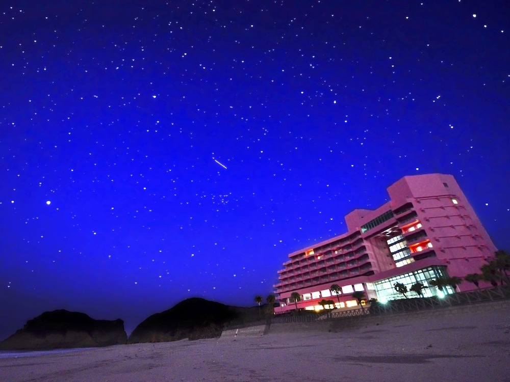 TANEGASHIMA IWASAKI HOTEL 5/42
