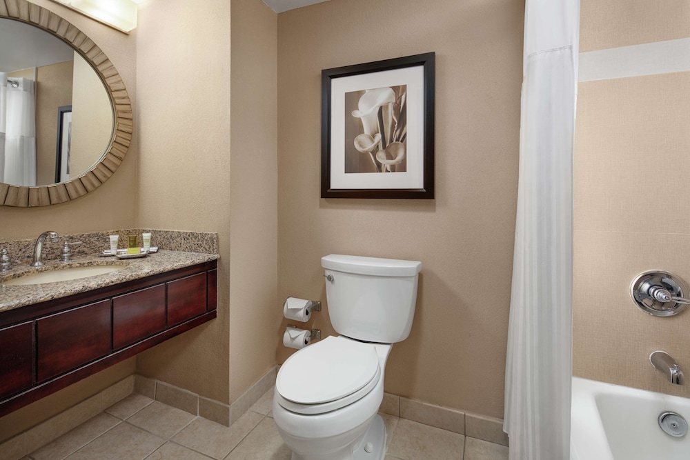 Hilton Orlando Lake Buena Vista - Disney Springs Area