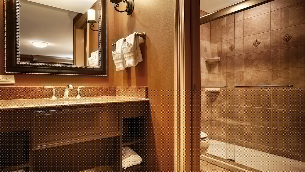 Best Western Plus French Quarter Courtyard Hotel 44/54