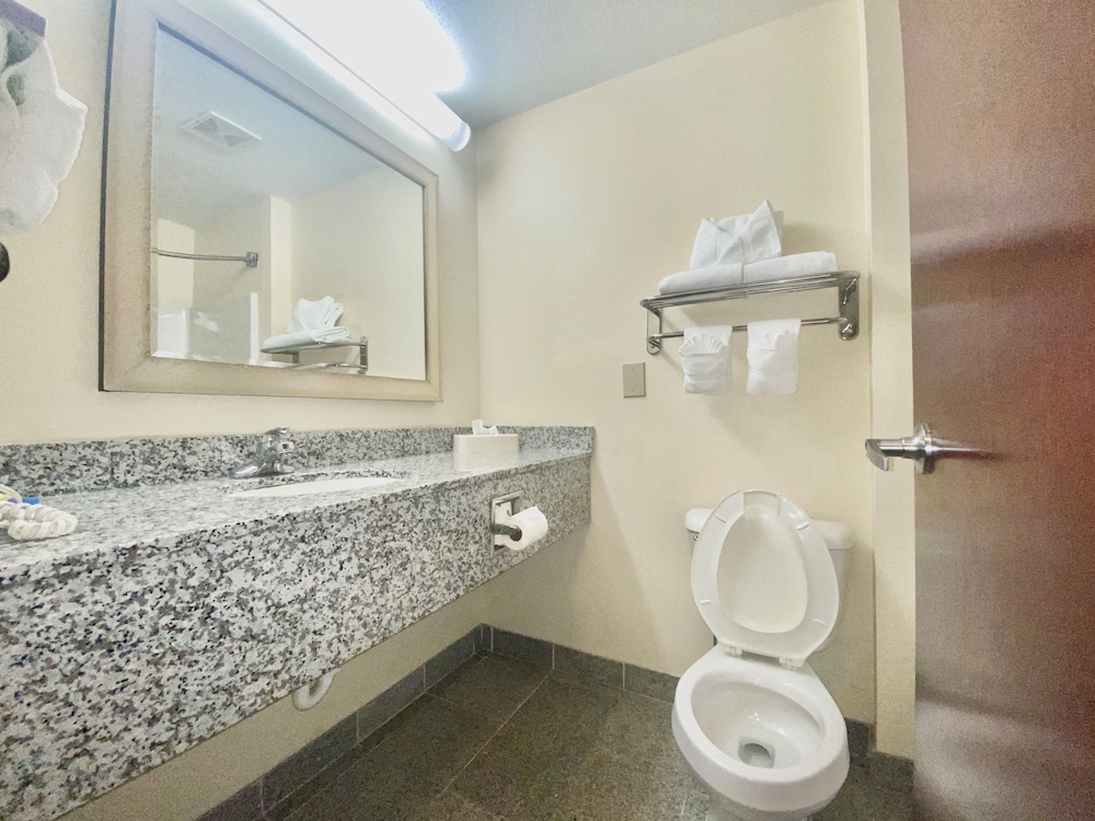 Holiday Inn Express Hotel Suites Indianapolis East 19/75