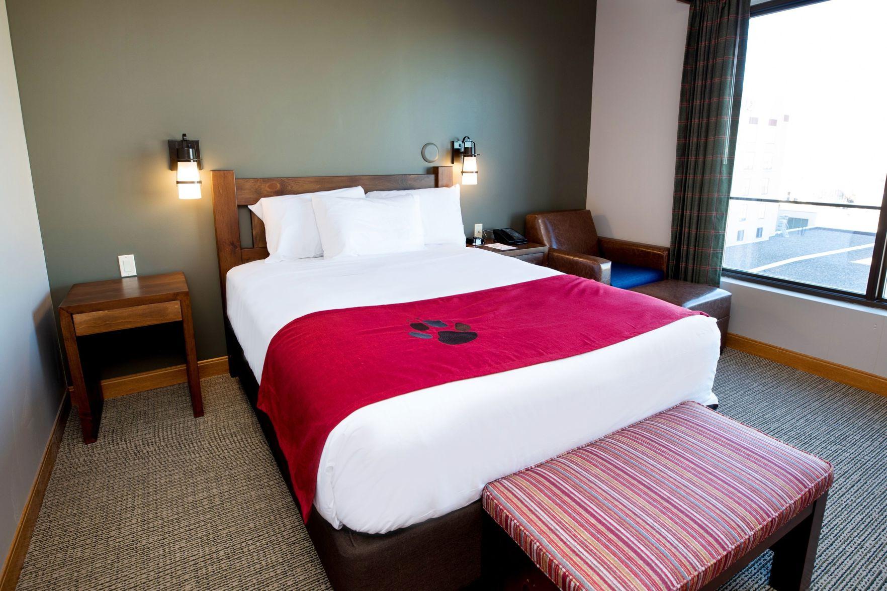 Suite, Cabin, Queen Bed