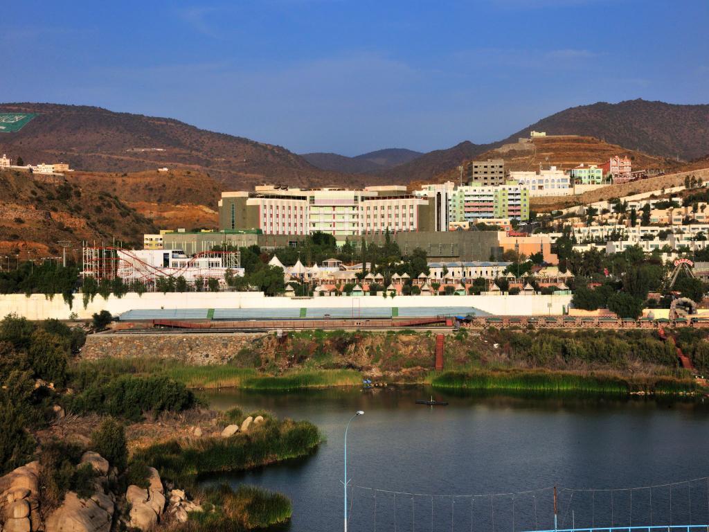 فندق قصر أبها(Abha Palace Hotel) 40/43