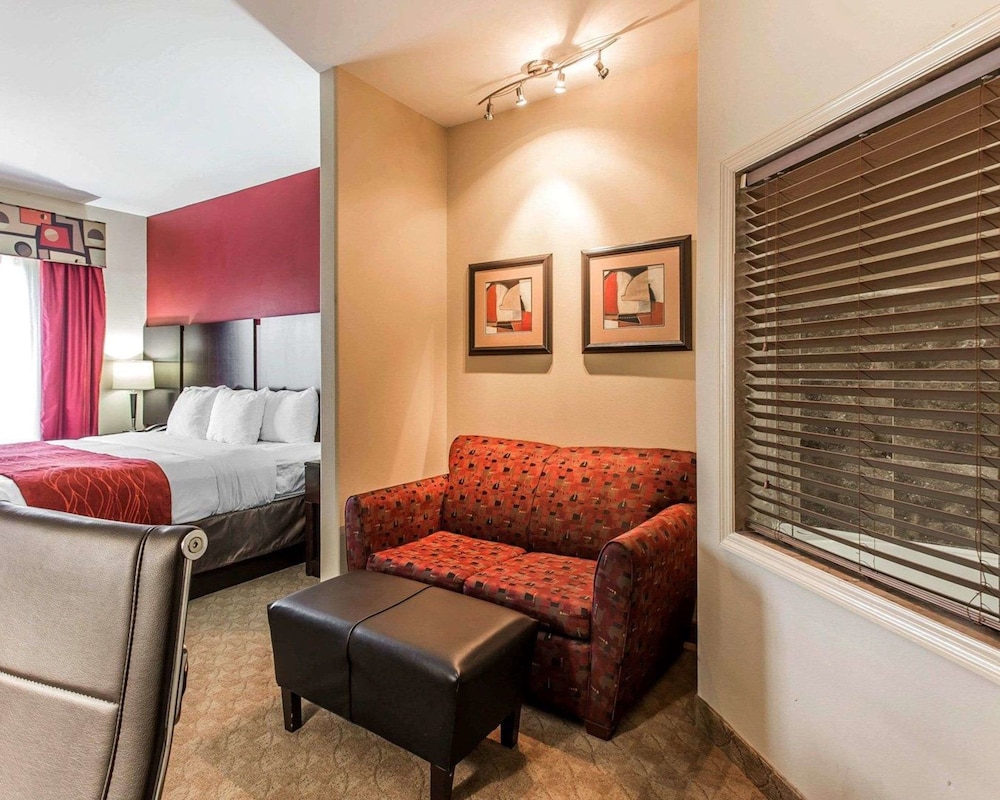 Comfort Suites Stockbridge Atlanta South 26/39