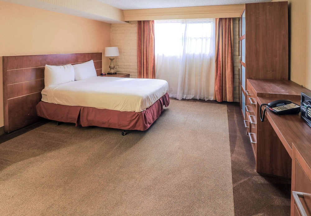 BUSINESS, KING BED, KITCHENETTE