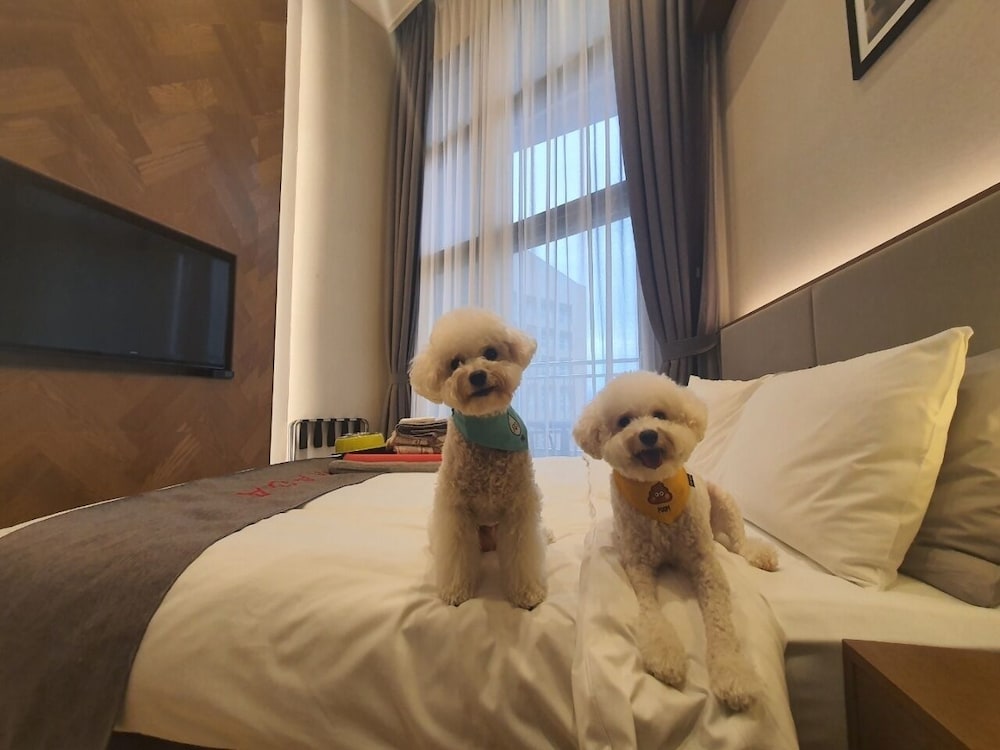 Ramada Hotel & Suites by Wyndham Gangwon Pyeongchang 31/66