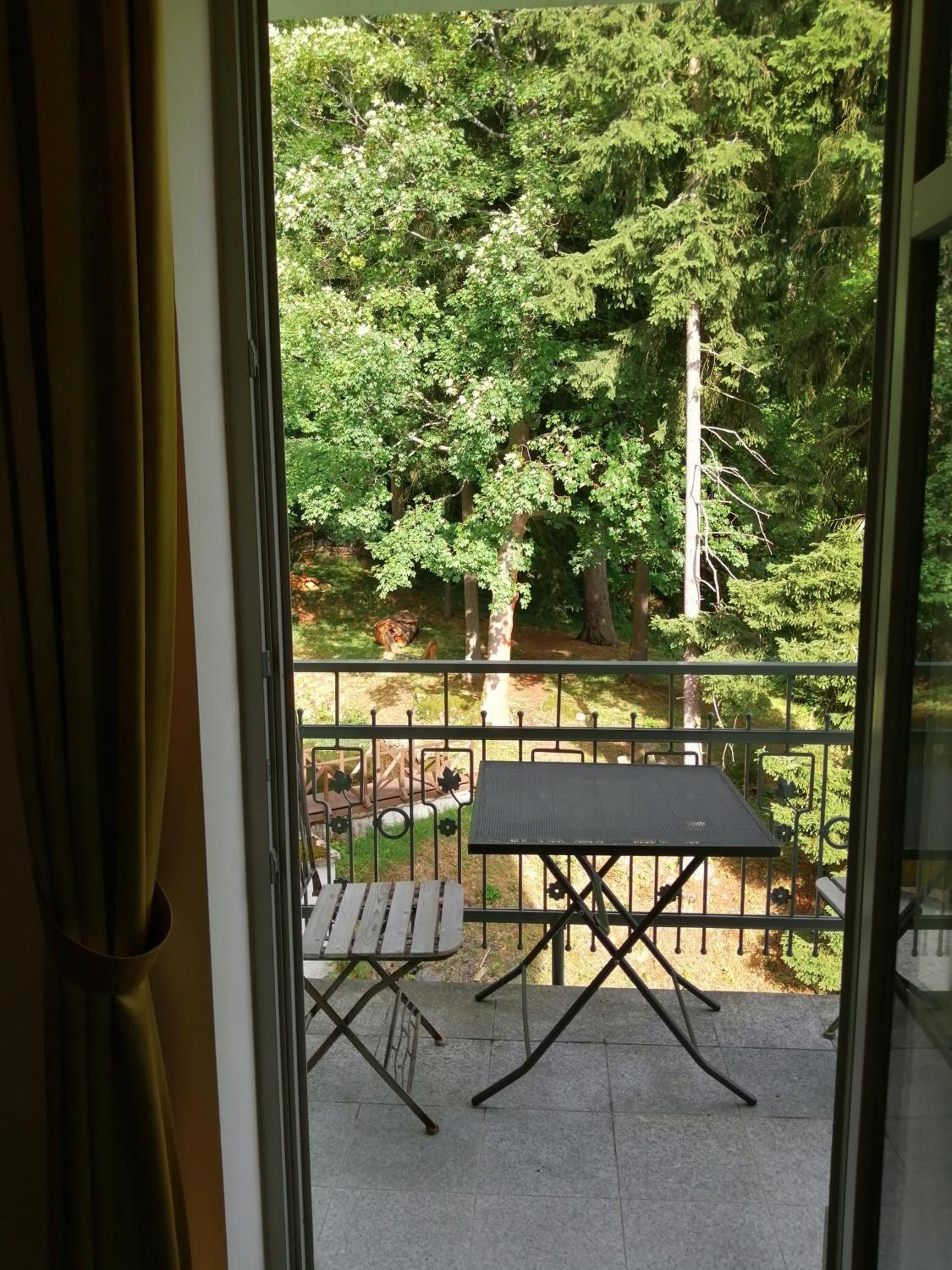 Parkhotel Forest 33/60