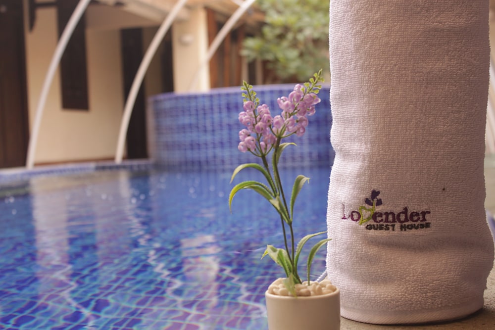 Lovender Guesthouse 17/24
