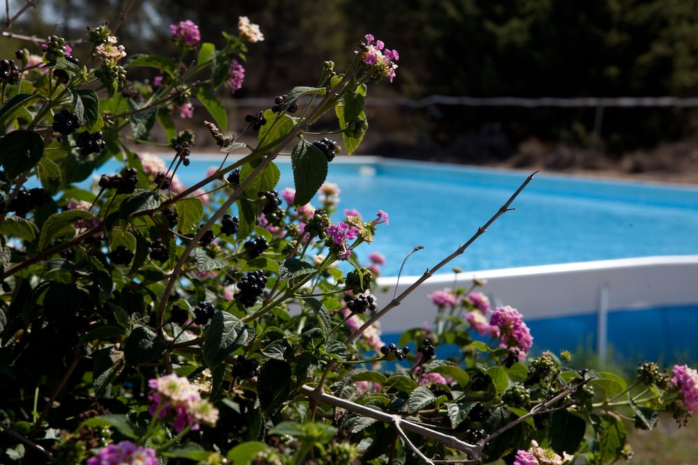 Club Esse Gallura Beach Village 23/31