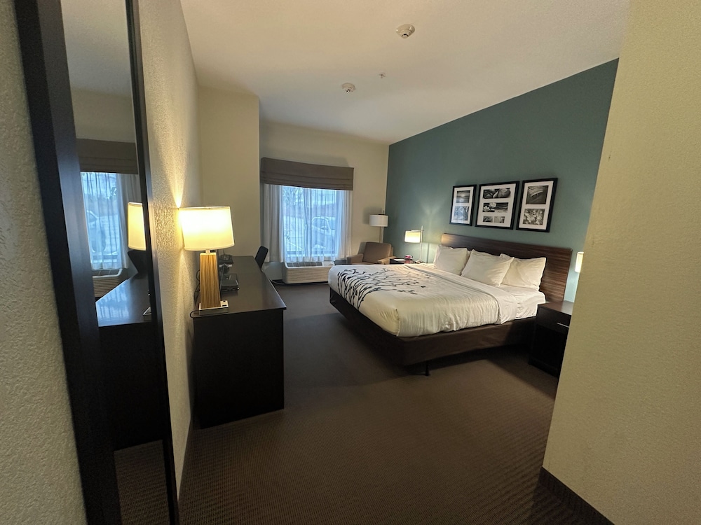 Room, King Bed, Accessible, Sleep Inn & Suites Fort Dodge 2/3