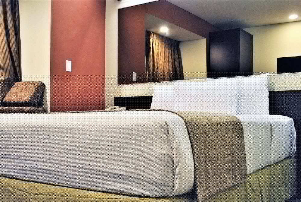 Microtel Inn and Suites by Wyndham Toluca 6/41