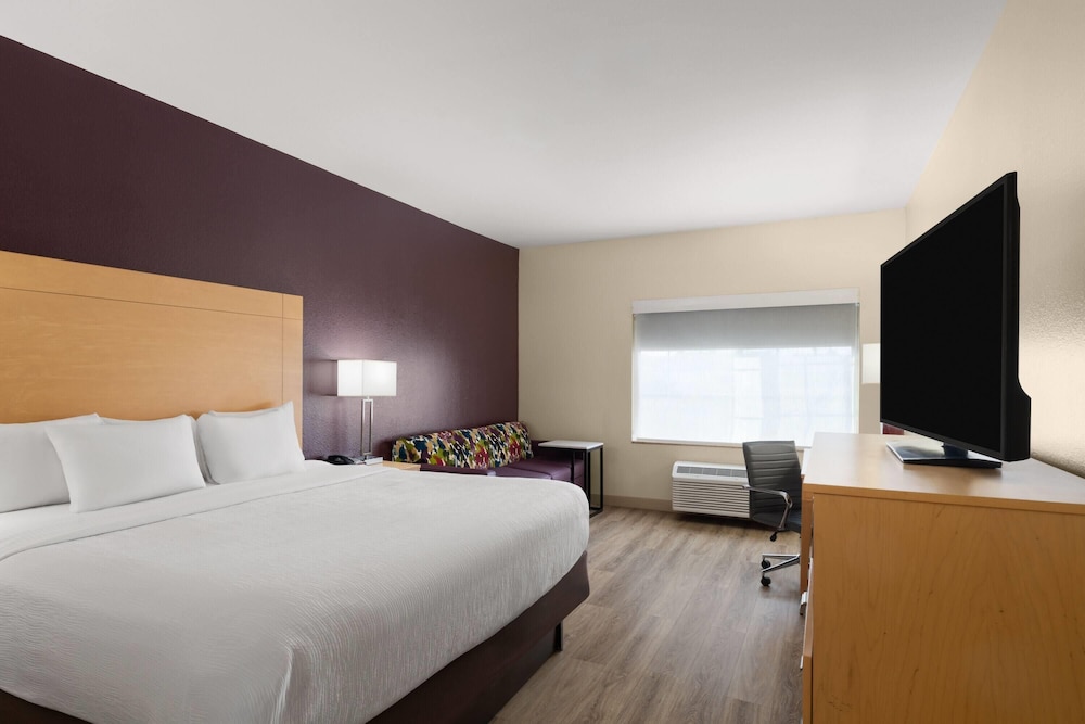 Room, King Bed