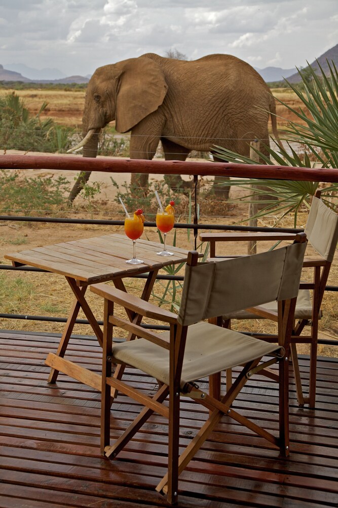 Ashnil Samburu Camp 23/50