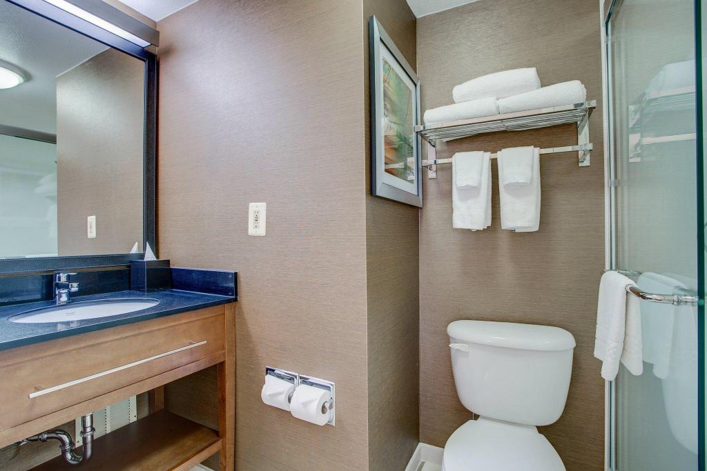Room, Queen Bed, Bathtub, Accessible, FAIRFIELD INN BY MARRIOTT BURLINGTON WILLISTON 6/10
