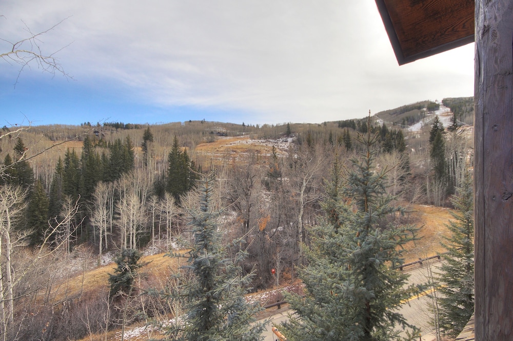 Bachelor Gulch Snow Cloud Lodge 28/37