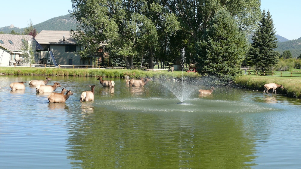 Discovery Lodge 67/69