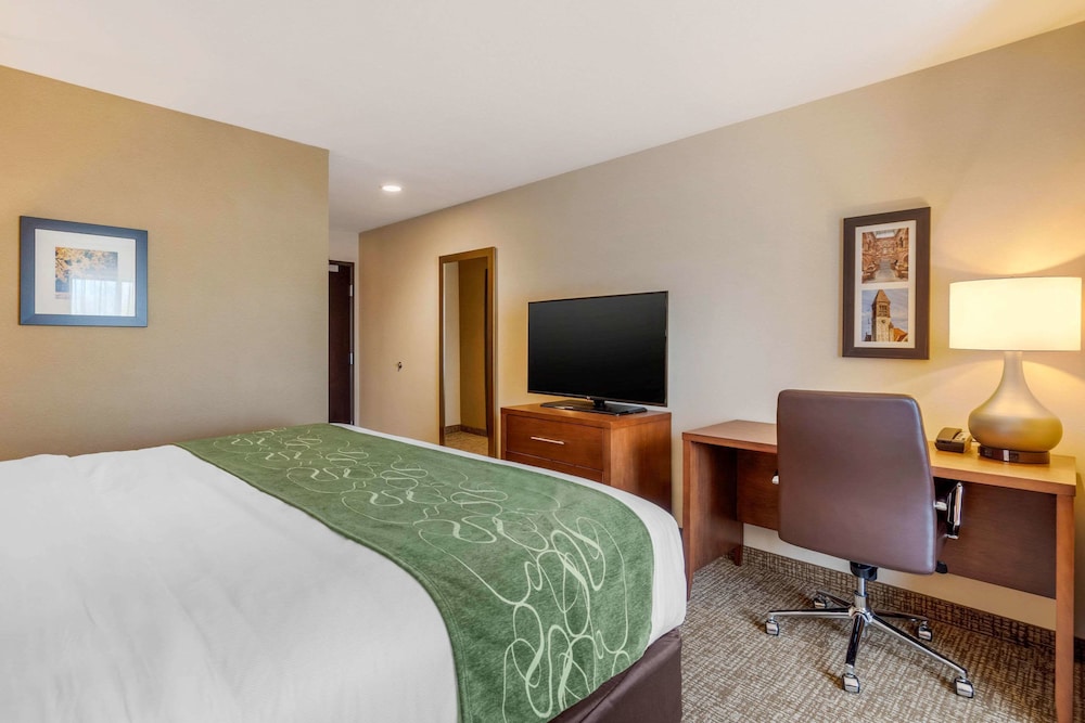 Comfort Inn Suites Schenectady - Scotia 12/44