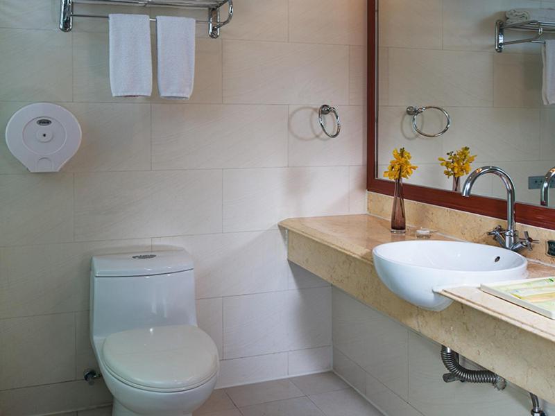 Vienna Hotel (Shenzhen Aiguo Road) 40/40