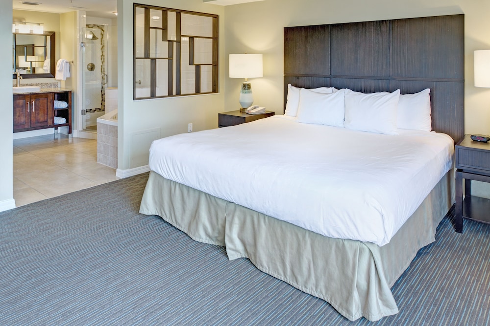 Summer Bay Orlando MOD Collection by Sonesta 14/50